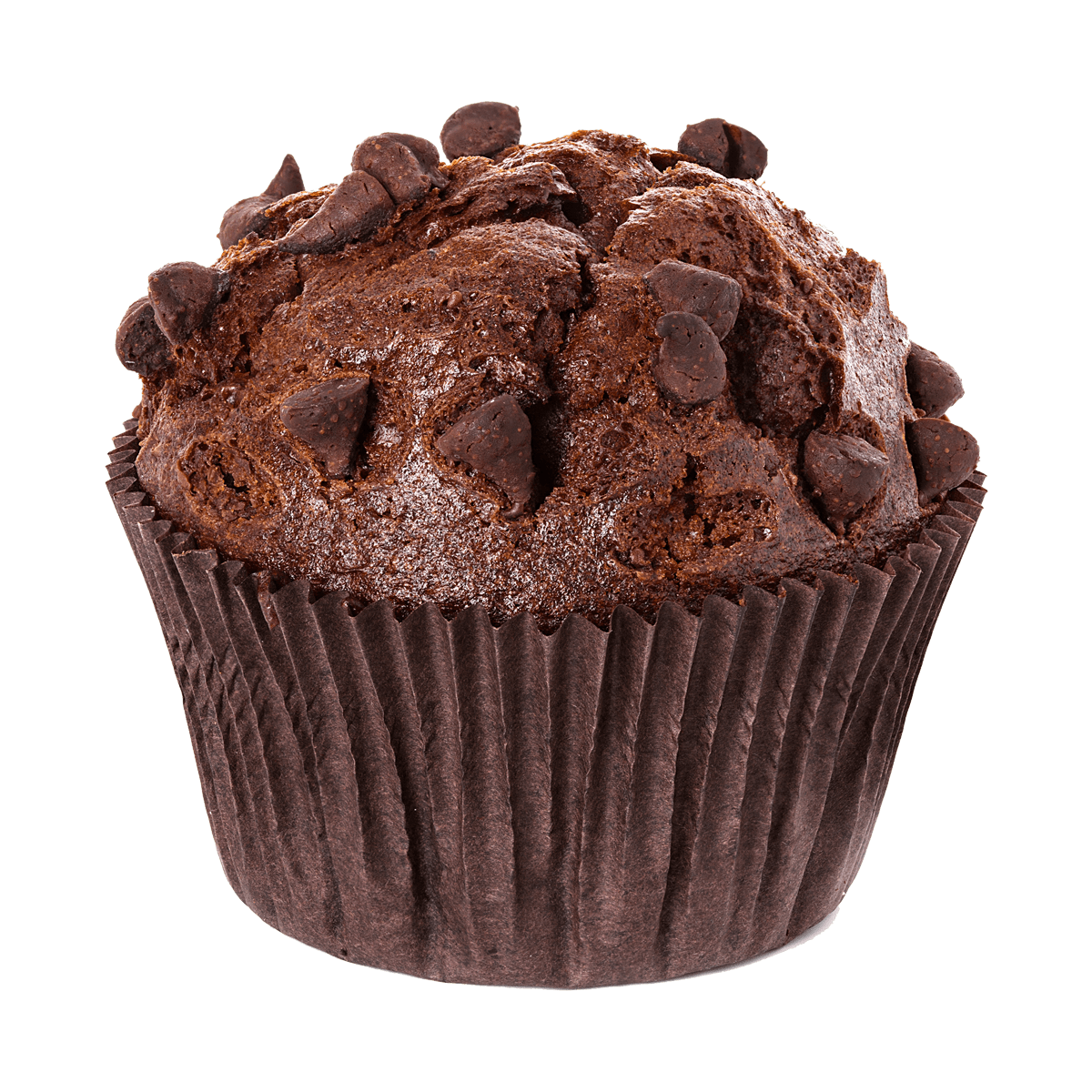 Chocolate Muffin 